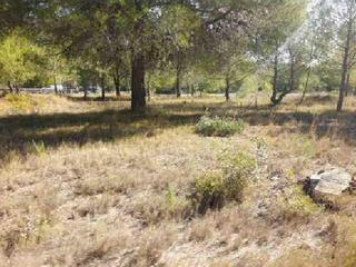 Finca rústica a Pla y sarva s/n. Terreno en venta
