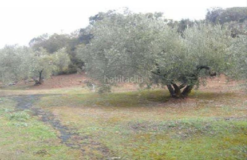 Foto 15c81c45-54b3-4665-b8c3-4dd191e7e7f0. Finca rústica en cabreriza 73 terreno en venta en Martos