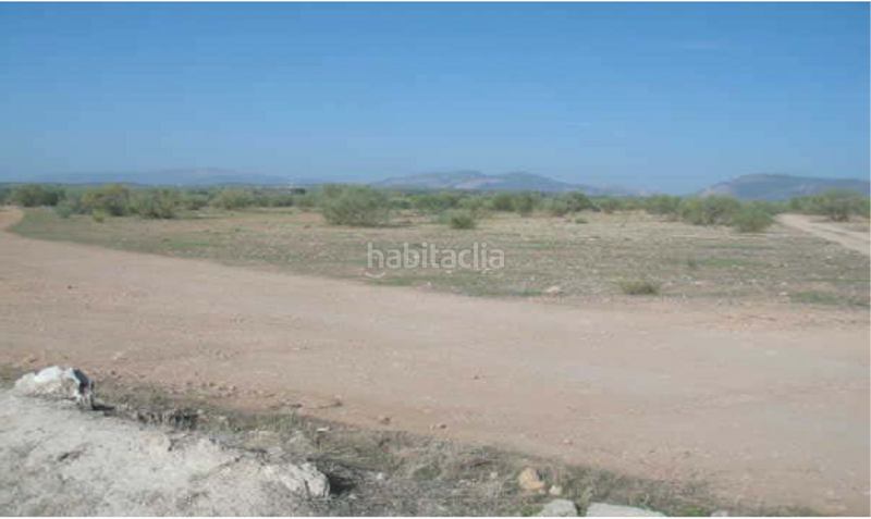 Foto 0d74c639-a35e-48f6-ba59-092d29a7e874. Terreno residencial terreno en venta en Atarfe