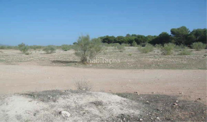 Foto bd76ac5d-83e9-4cbd-8195-d442f0c11deb. Terreno residencial terreno en venta en Atarfe