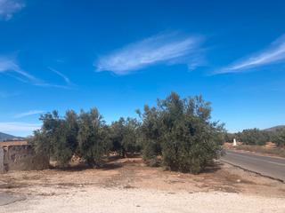 Terreno residencial  Sector sr22a llanos de silva. Terreno en venta