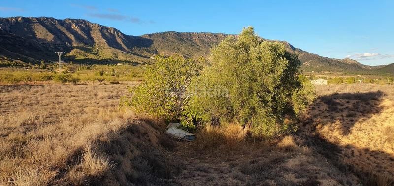 Foto 0e9c98b6-3bac-4742-a8fd-73c66b73b57f. Finca rústica a Ricote
