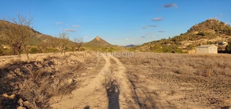 Foto 5eba5c4c-0579-49a8-aec5-634fe94e9425. Finca rústica a Ricote