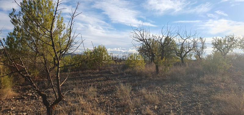 Foto 6de26af9-807c-4127-9e9b-6ce3ea0b38e6. Finca rústica a Ricote