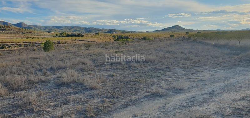 Foto 862090ee-2710-4a09-a5bb-0b51223b376a. Finca rústica a Ricote