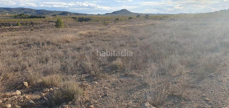Foto cfc8a030-8b6c-4012-a987-923f05e1ca29. Finca rústica a Ricote