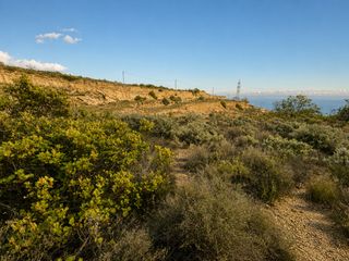 Finca rústica a Fasnia. Terreno rústico de 2.935 m² en la zona alta de fasnia con vistas