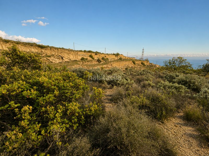 Foto 035c6314-a749-4323-a7b1-7000a7be8242. Finca rústica a Fasnia