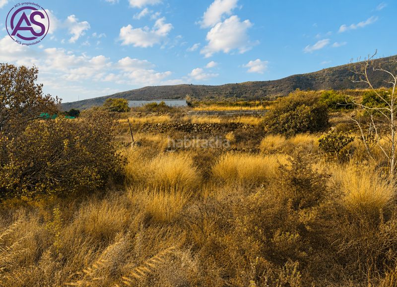 Foto 8a740985-c6e2-4dac-8c55-9c41f903d70a. Finca rústica a Centro Güímar