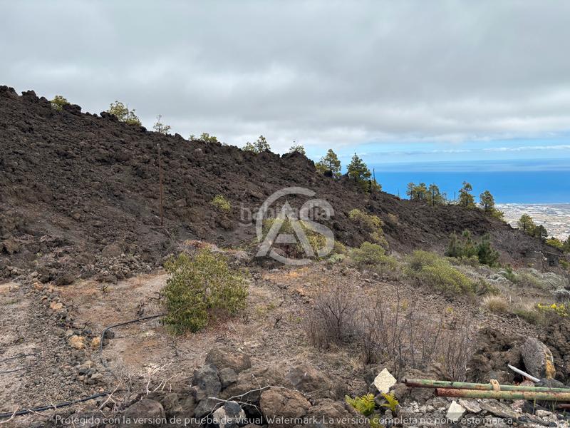 Foto 05f188db-c6e4-48dc-bdfe-4fa45b5f7e74. Finca rústica  en Centro Güímar