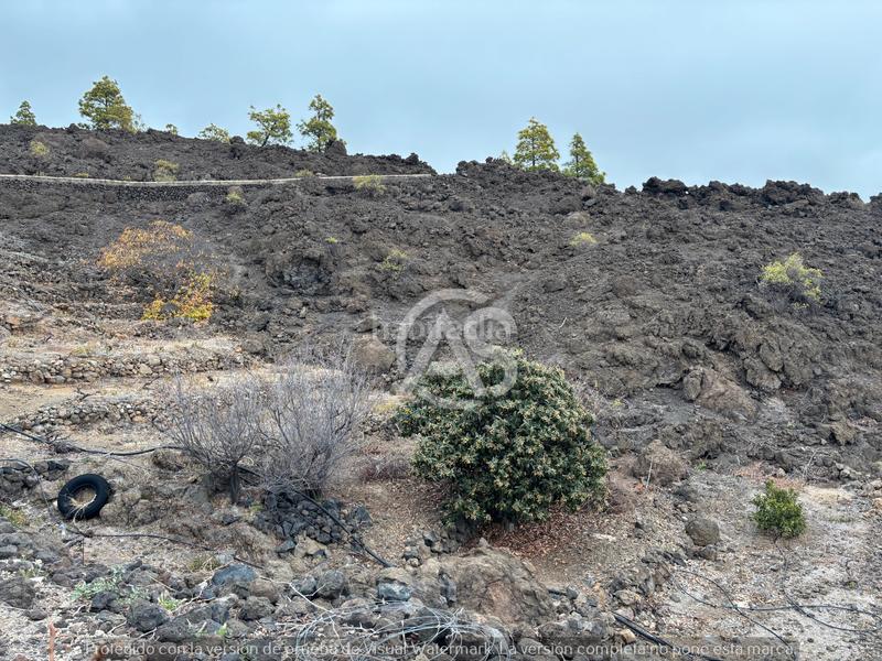 Foto 06da5108-e424-438e-963d-f70f96a0f453. Finca rústica  en Centro Güímar