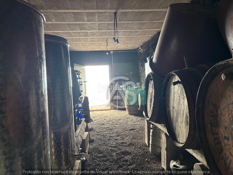 Foto 11aa640a-448b-4c0b-8b60-b0e995f7cb56. Finca rústica  en Centro Güímar