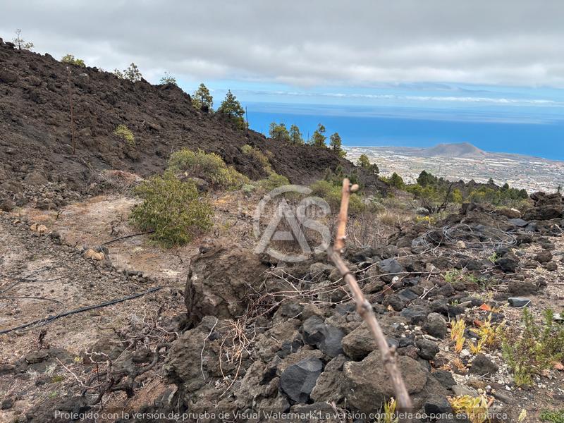 Foto 48584b1f-df57-4dcd-976e-9f5b5402f827. Finca rústica  en Centro Güímar