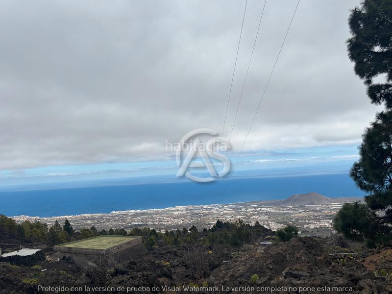 Foto aac7576b-3e20-4c41-87b0-537971c60664. Mas dans Centro Güímar