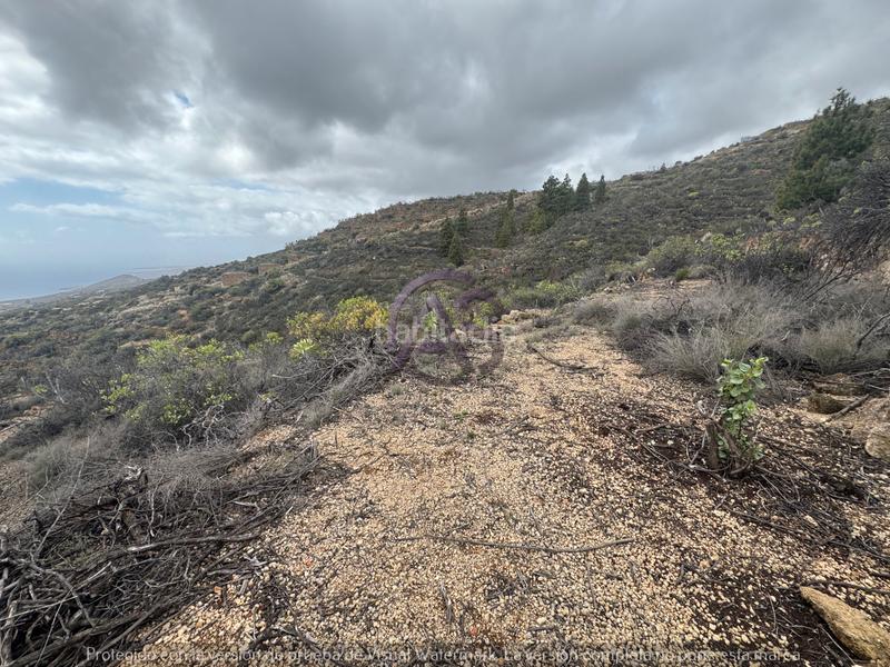 Foto 0668a03c-9737-4378-8370-0d6c5b87409c. Fondo rustico in El Escobonal - Pájara Güímar