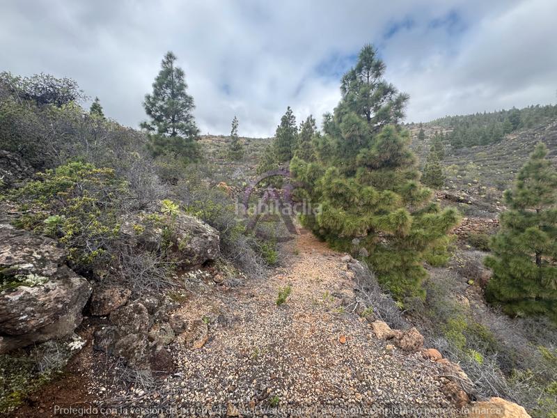 Foto 13c515ee-f732-4d5d-b65a-5ea58f79c5f4. Fondo rustico in El Escobonal - Pájara Güímar