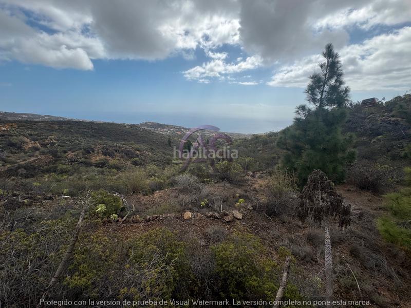 Foto 58a5a4fa-ec99-4f12-b915-405d5dd954eb. Fondo rustico in El Escobonal - Pájara Güímar