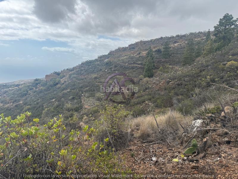 Foto 7145ec10-5f8e-43e0-915f-8d85a9dc2afa. Fondo rustico in El Escobonal - Pájara Güímar