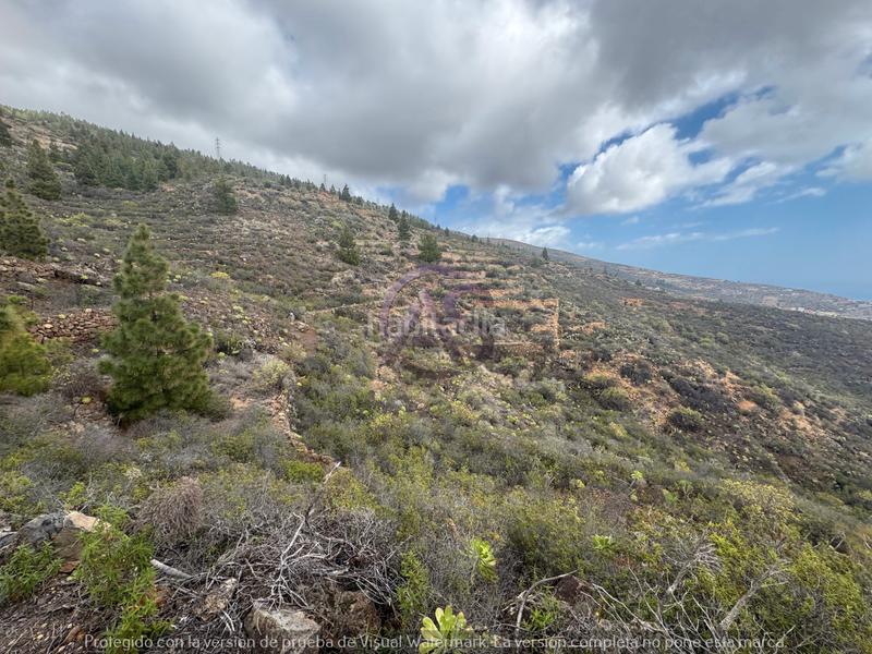 Foto 7cfa355a-5f65-48df-ac70-e5345d9df4ad. Fondo rustico in El Escobonal - Pájara Güímar