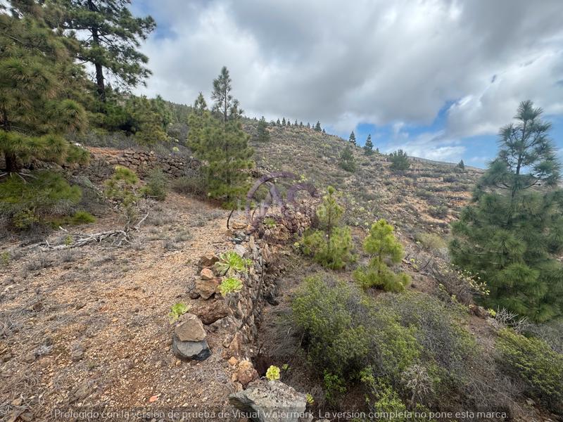 Foto 7f0d4adb-c13a-4ee8-bf48-ff4fa3f76abb. Fondo rustico in El Escobonal - Pájara Güímar