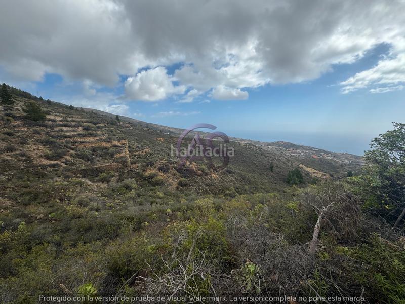 Foto 846037b5-7fac-49c3-9899-fa04ef8719af. Fondo rustico in El Escobonal - Pájara Güímar