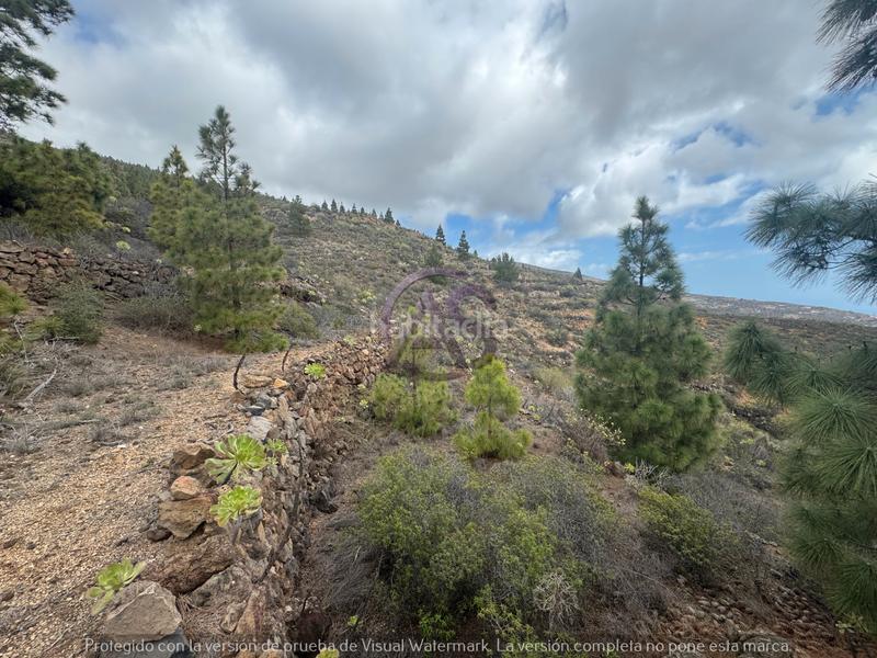 Foto 88bf7b3c-1565-45ea-9048-23f6d6a32394. Fondo rustico in El Escobonal - Pájara Güímar