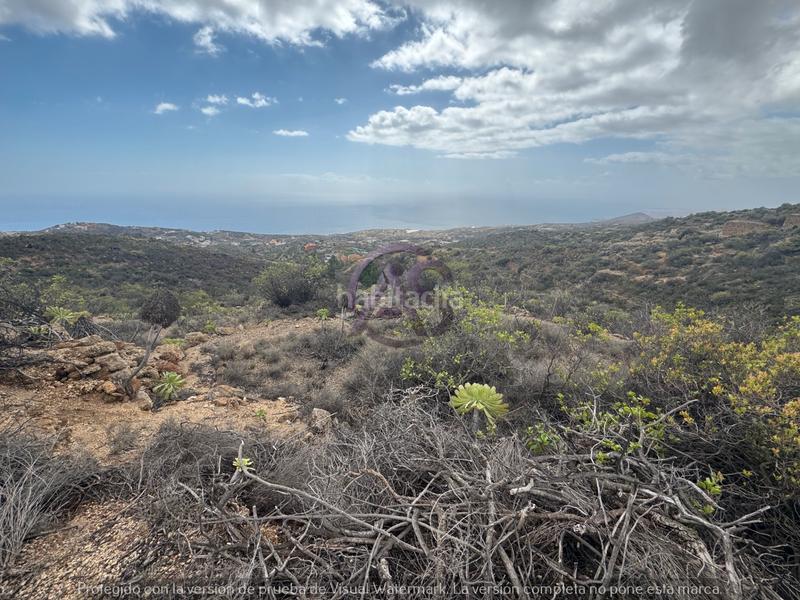 Foto 8ad87c02-6da3-4057-8a41-96ac1244f06f. Fondo rustico in El Escobonal - Pájara Güímar