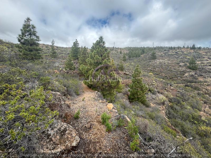 Foto c77eb1b9-139e-493b-b416-558d7d21accc. Fondo rustico in El Escobonal - Pájara Güímar