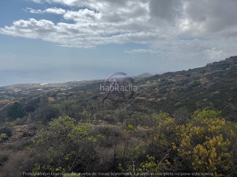 Foto d2396f7d-473c-4bff-ac16-76e55e5309e5. Fondo rustico in El Escobonal - Pájara Güímar