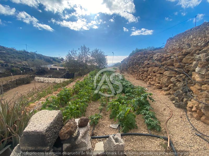 Foto 7b124a69-a1a8-401e-8f00-9470e46b0807. Masia a El Escobonal - Pájara Güímar