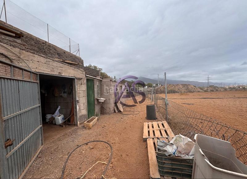 Foto e1bd6a78-7c60-4496-bc0d-54f91f8de941. Finca rústica a Centro Güímar