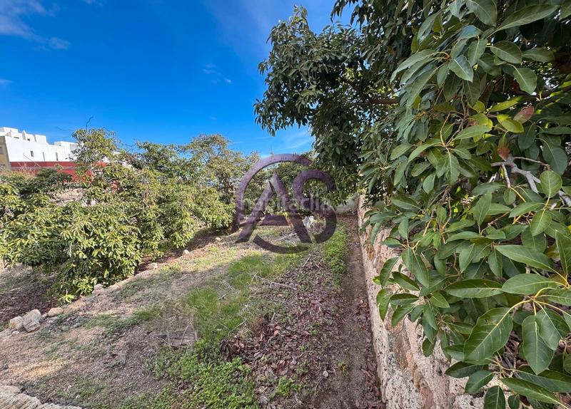 Foto 492da445-fb93-4e00-a8f7-55226eefdf93. Terreny residencial a Centro Güímar