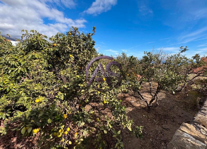 Foto ca5807ee-92a9-4eda-baa1-305826611a15. Terreny residencial a Centro Güímar