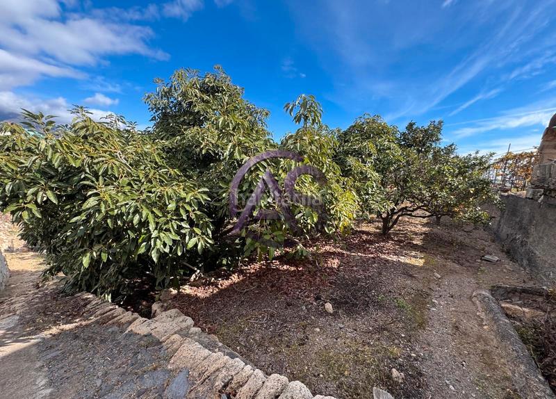 Foto ebab07d7-578a-4c31-9c20-8dccab734cb9. Terreny residencial a Centro Güímar