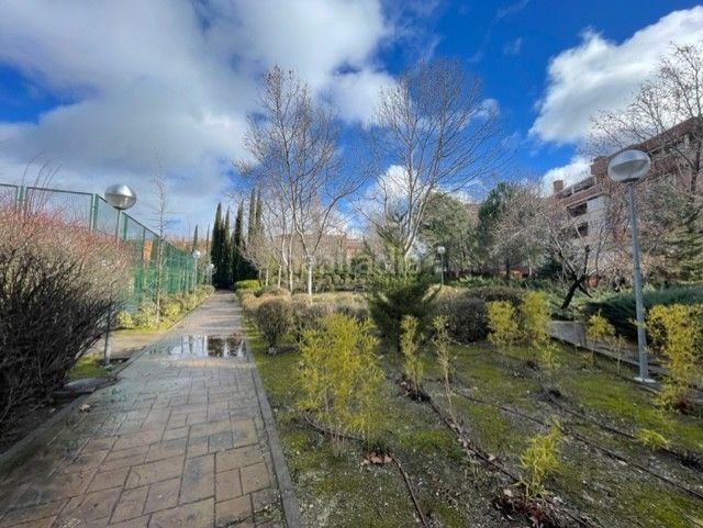 Foto fe07f4a4-ccb3-49c0-a87d-04c74caed147. Ático en Urbanizaciones Rivas - Vaciamadrid