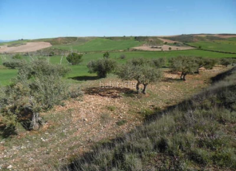 Foto 161a9275-c4c6-4eba-875a-58825d780d3f. Finca rústica a sector urbanizable 3 3 a Tórtola de Henares