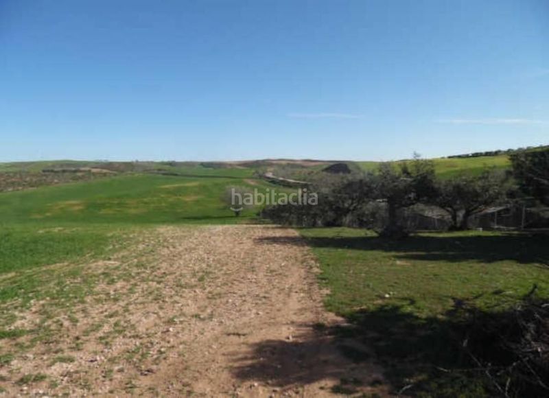 Foto e28ab3d9-c414-451d-b226-6ef65e37c254. Finca rústica a sector urbanizable 3 3 a Tórtola de Henares