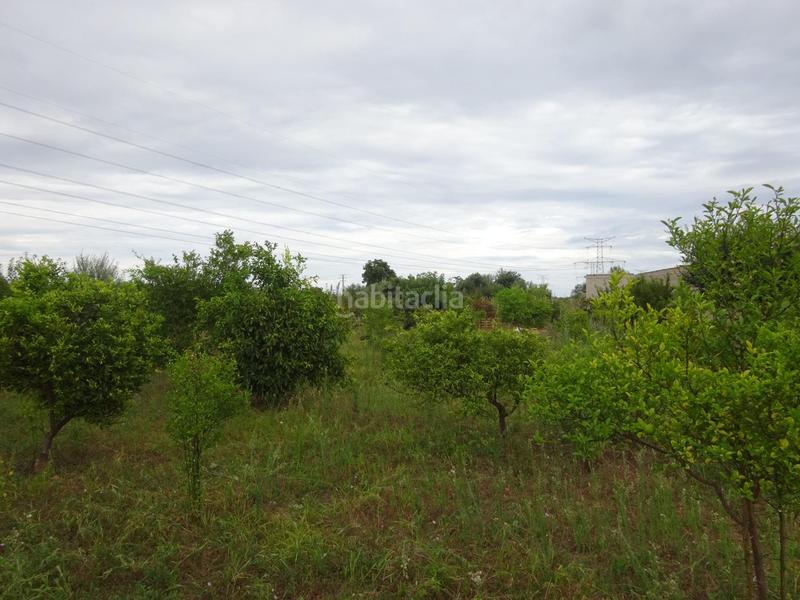 Foto 66fbfd98-3066-433b-a975-d0386c02120d. Fondo rustico in Santa Quiteria - Les Boqueres Almazora / Almassora