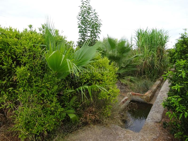 Foto 9886ee2f-795a-4667-bcd3-b2c9656abfb8. Fondo rustico in Santa Quiteria - Les Boqueres Almazora / Almassora