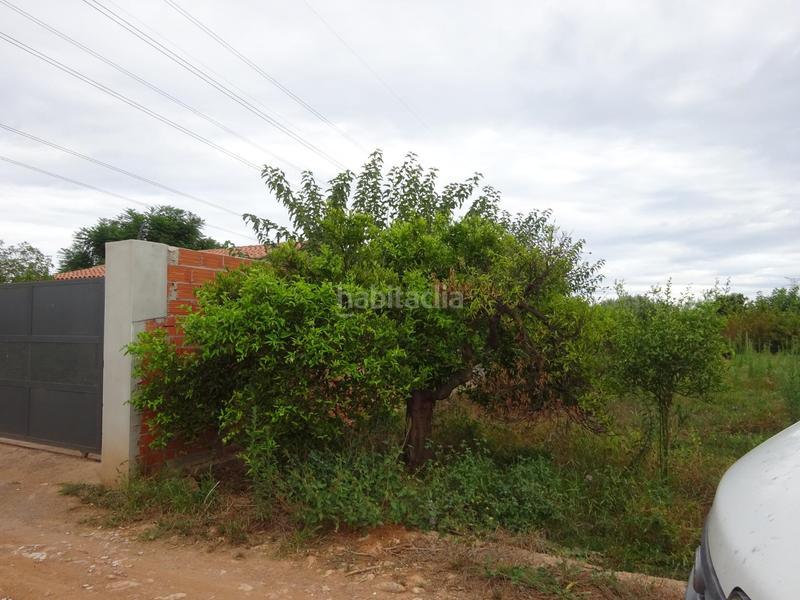 Foto d5c140db-8eab-40a0-b3a3-50f89fb021ed. Fondo rustico in Santa Quiteria - Les Boqueres Almazora / Almassora