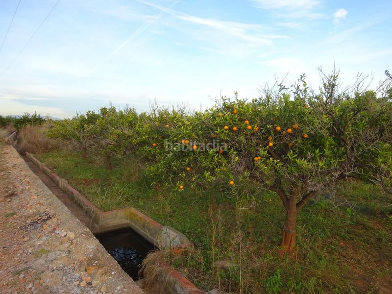 Foto b763a1d4-8d1e-42cb-b217-c862dfd720cf. Landgut in Madrigal Villarreal / Vila - real