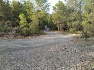 Propriété à Alcora (l´). Parcela rustica en alcora con posibilidad de urbanizar una parte