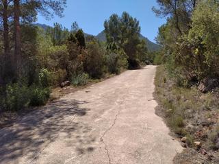 Finca rústica a Vilafamés. Finca rustica en villafames  con caseta de aperos