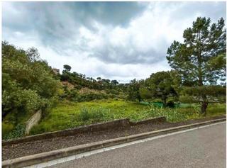 Terreno residencial en Lloret Verd - Els Pinars. ¡oportunidad única! parcela en una zona tranquila cerca de las p