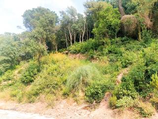 Finca rstica a Serra Brava. Terreno  urbano en lloret de mar