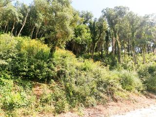 Finca rústica en Serra Brava. Terreno  urbano en lloret de mar