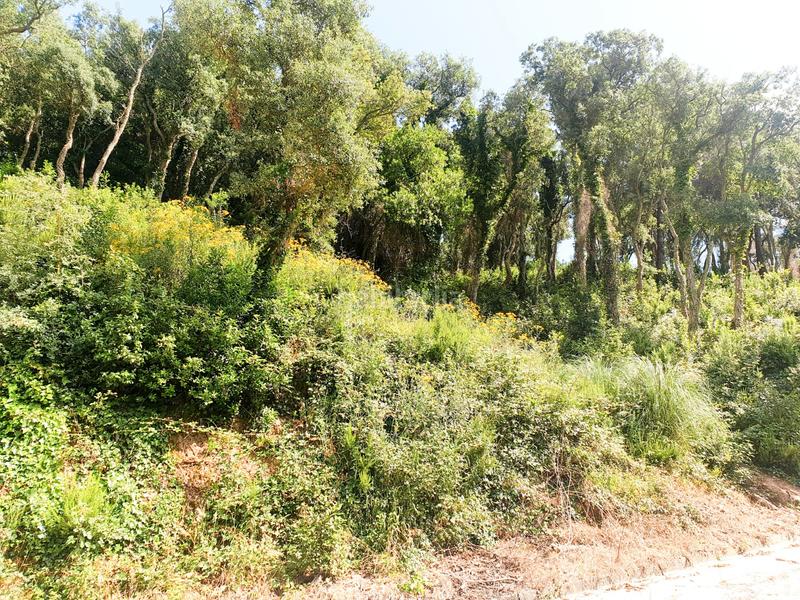 Foto 9f08b7b0-2f05-4186-a998-35a6683e46fb. Propriété dans Serra Brava Lloret de Mar