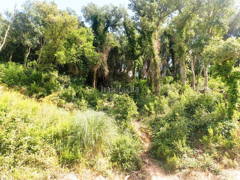 Foto bcd5877a-3313-49f4-b425-e0302cb1b7a6. Propriété dans Serra Brava Lloret de Mar