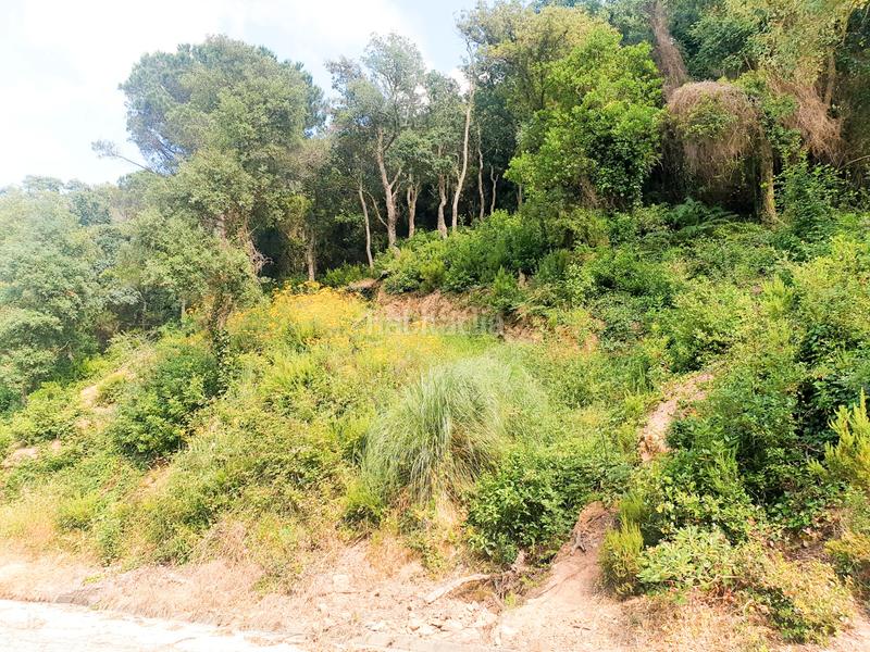 Foto f40f1908-55dc-412c-aa1c-f965715319dc. Propriété dans Serra Brava Lloret de Mar