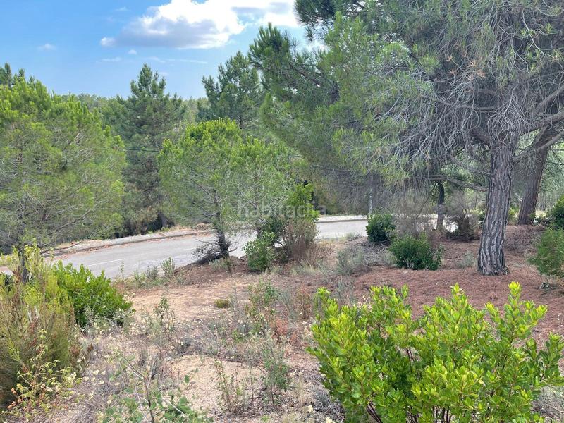 Foto 69e6aad8-26d6-4609-896f-640cf5dc0302. Residential plot in Riudarenes